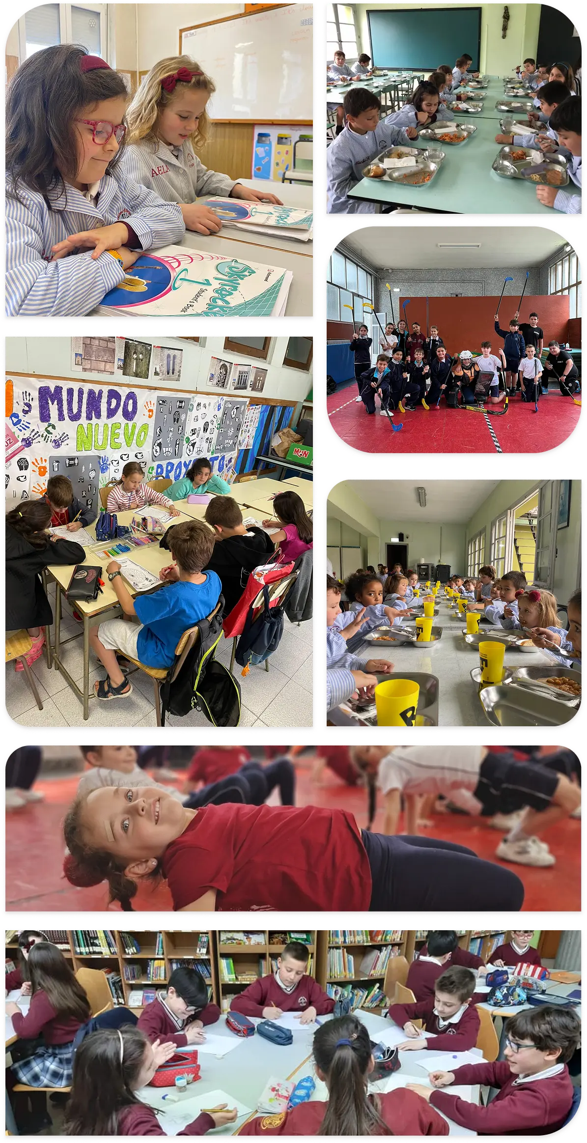 SERVICIOS - VERTICAL